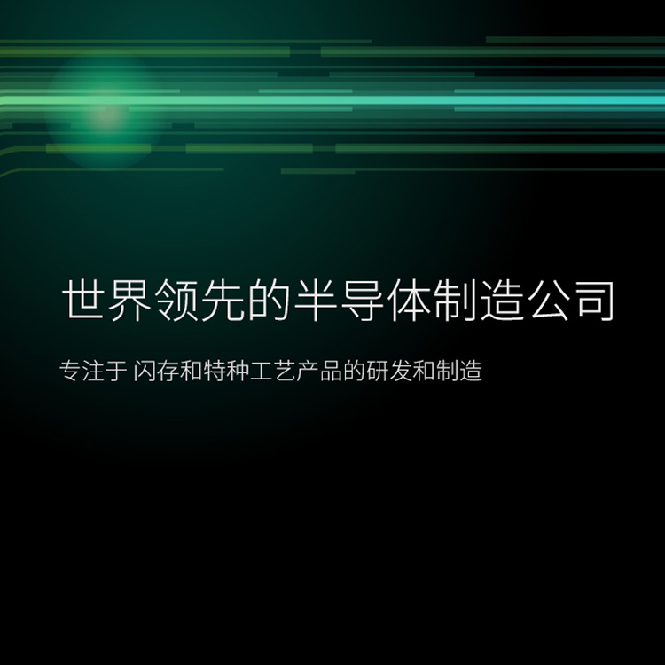 HOLY荷勒為(wèi)長(cháng)江存储和武汉新(xīn)芯打造新(xīn)网站